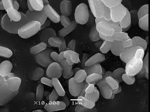 202006230836287588087.jpg 202006230836287588087.jpg